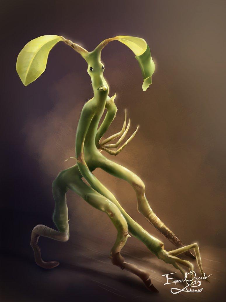 pickett-the-bowtruckle.jpg