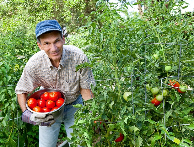 picking garden plants.jpg