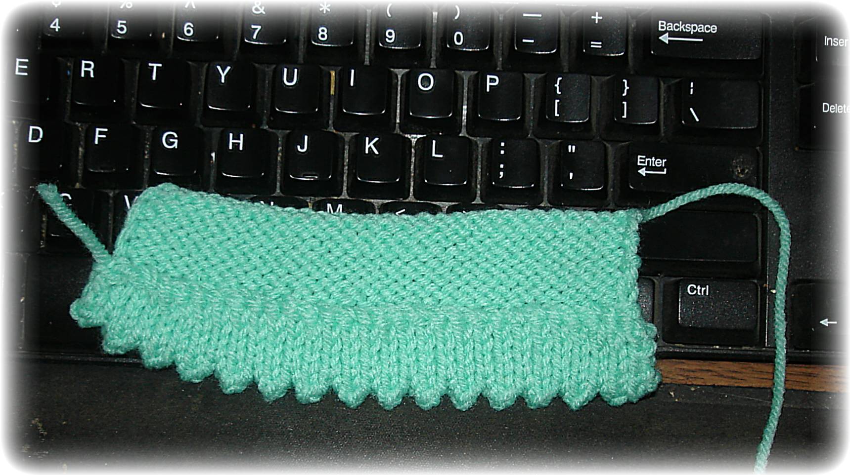 picot edge 015.jpg