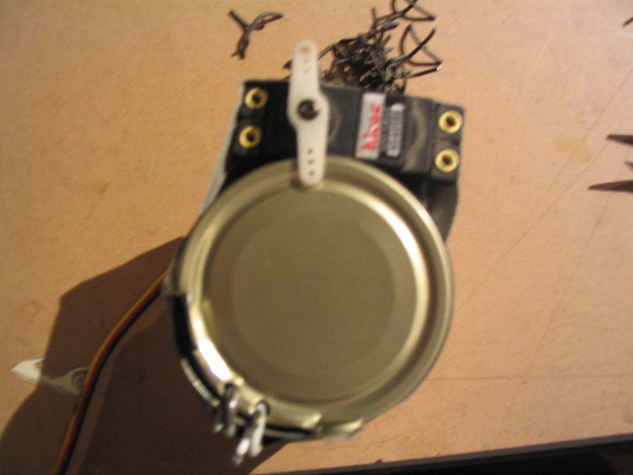picture 016.jpg