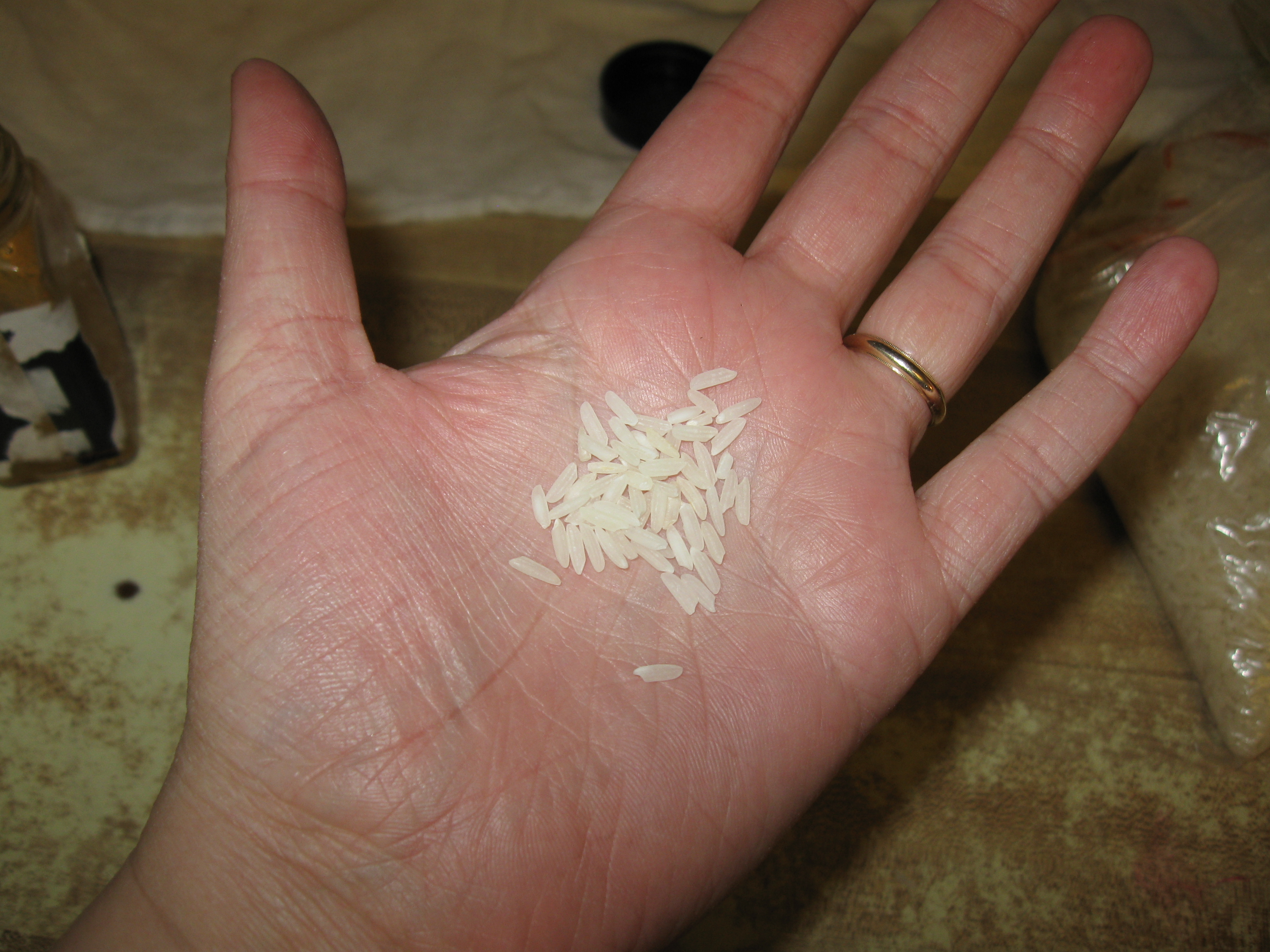 pinch of rice.JPG
