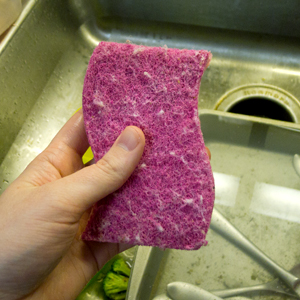 pinksponge.jpg