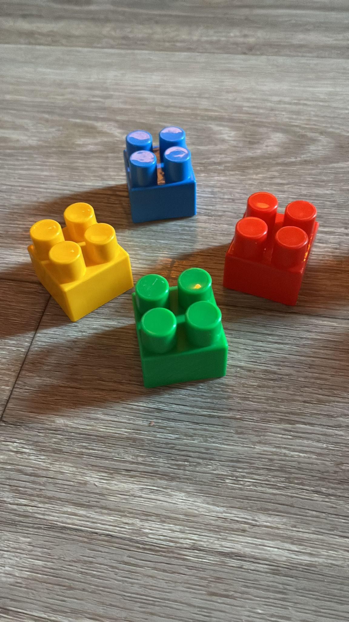 pionnen .jpg