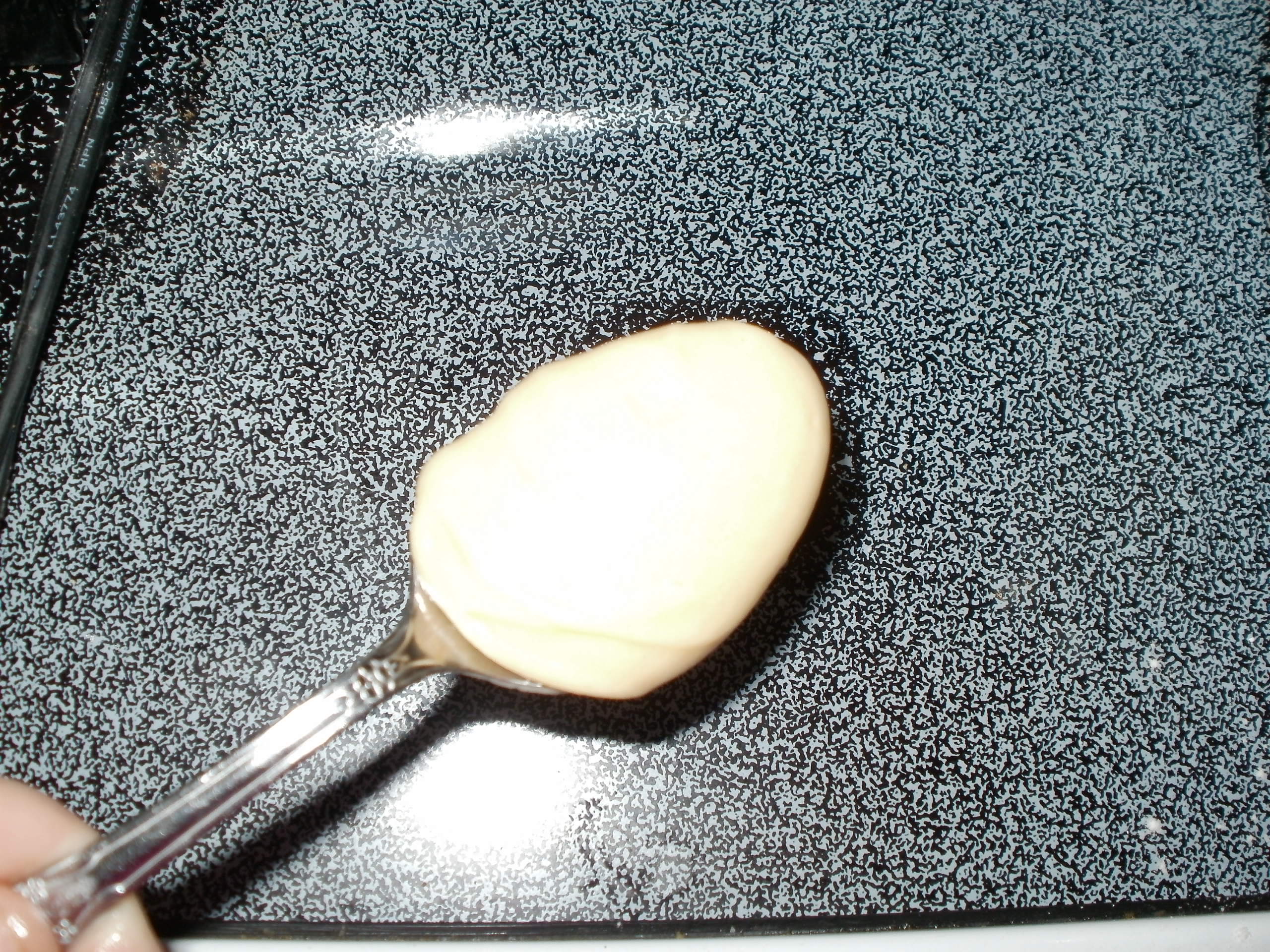 pizl0011.JPG
