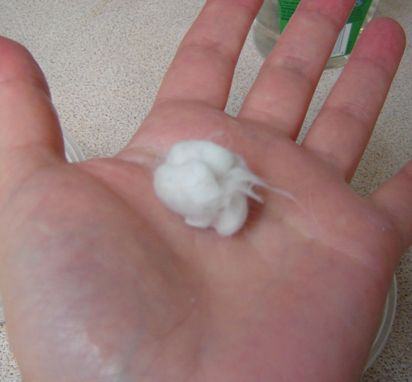placeinpalm.jpg