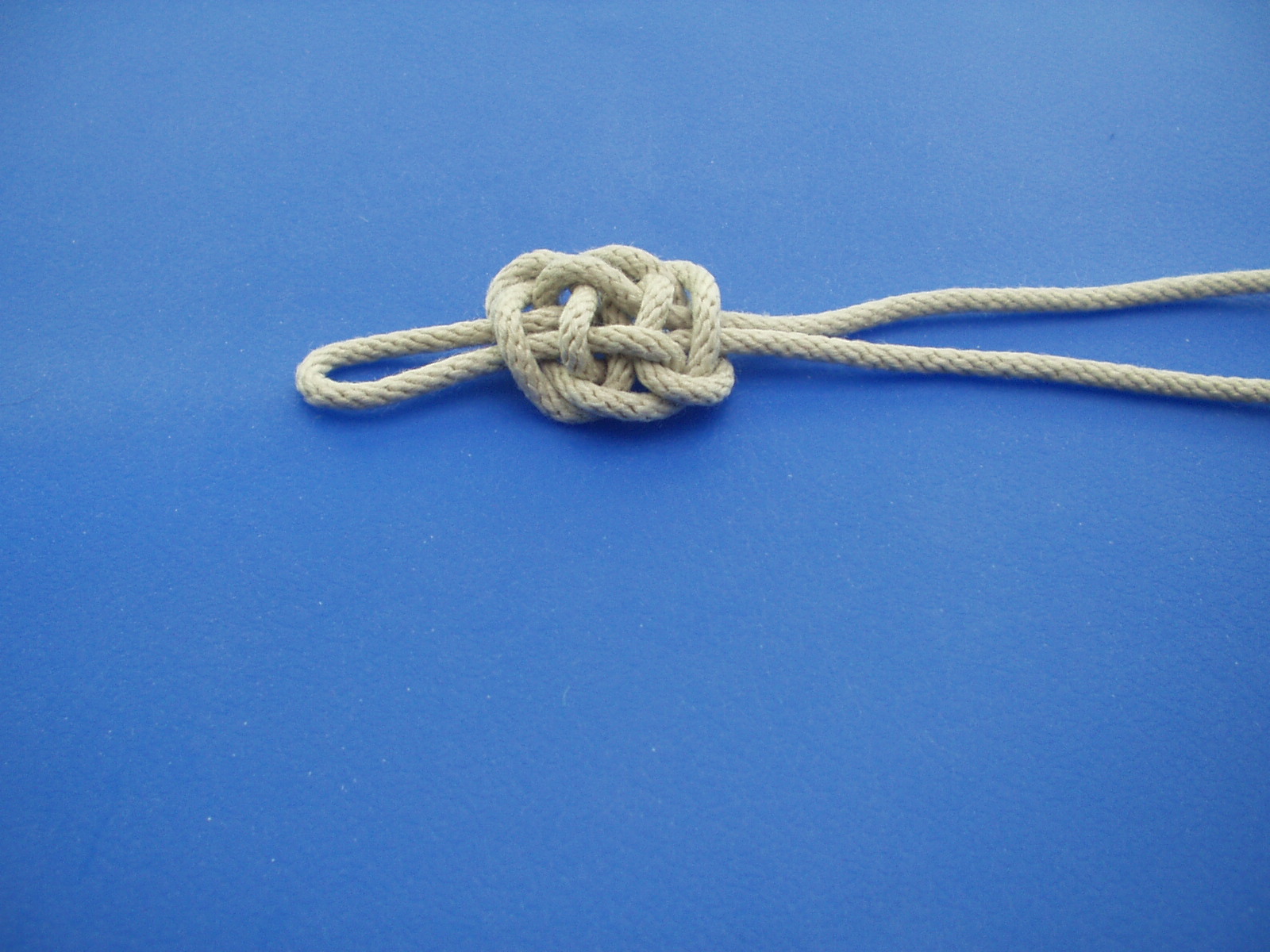 plafond knot 016.JPG