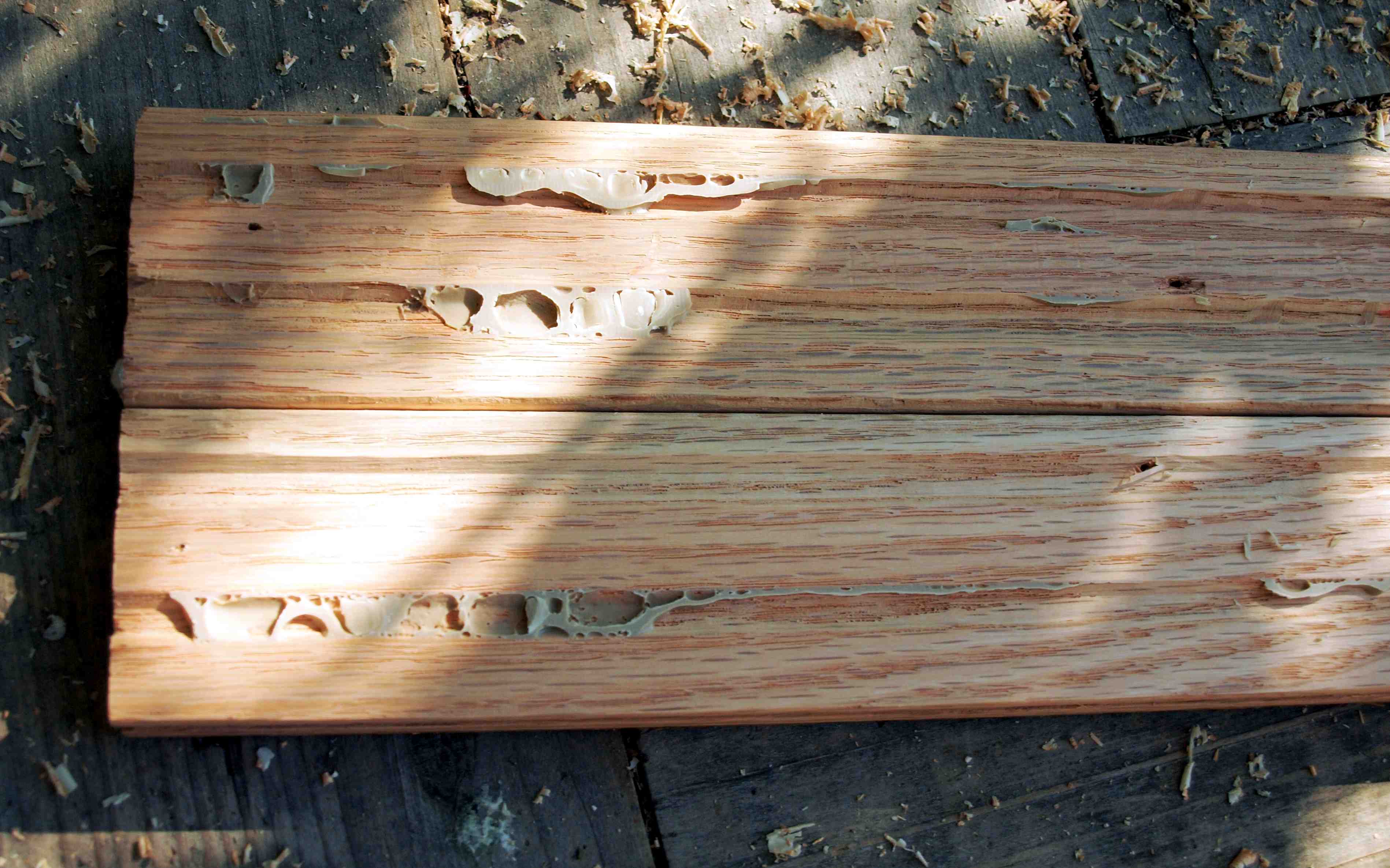 planer5.jpg