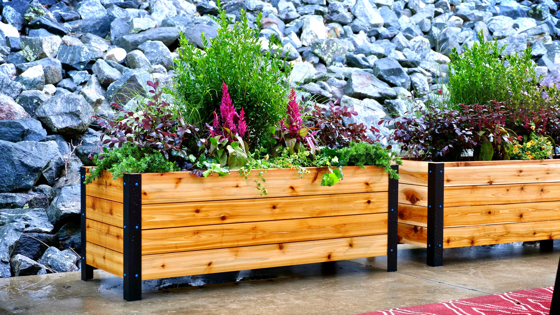 planter boxes.jpg