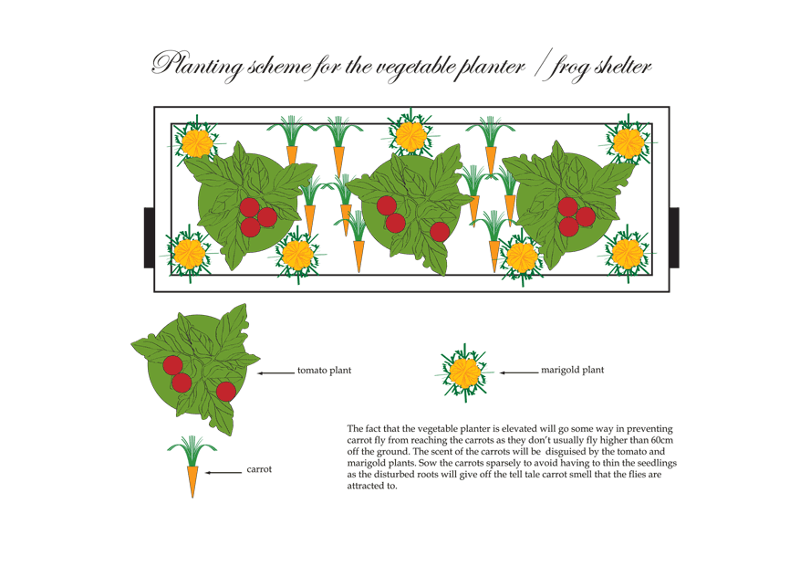 planting_scheme.gif