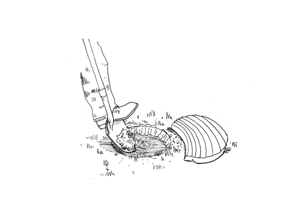 planting_steppingstoneimage1.jpg