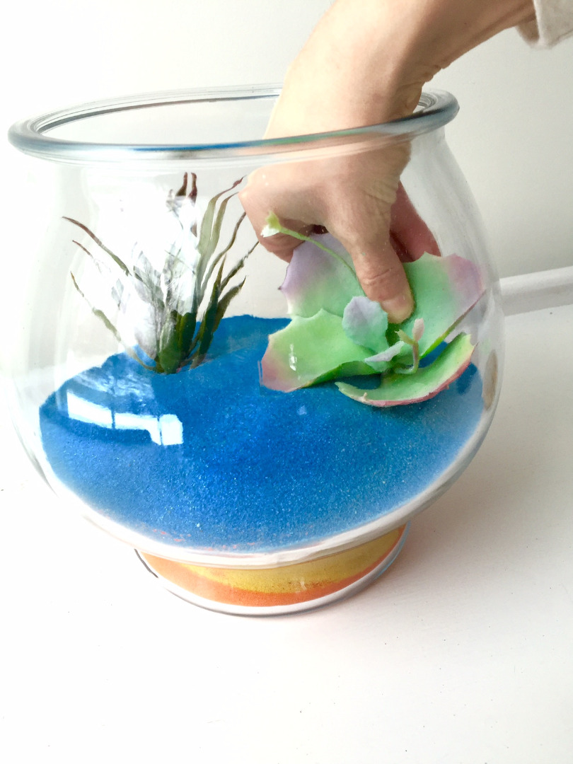 plants in terrarium with colored sand.jpg