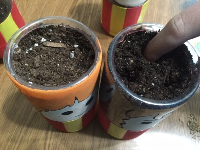 poke and plant.JPG