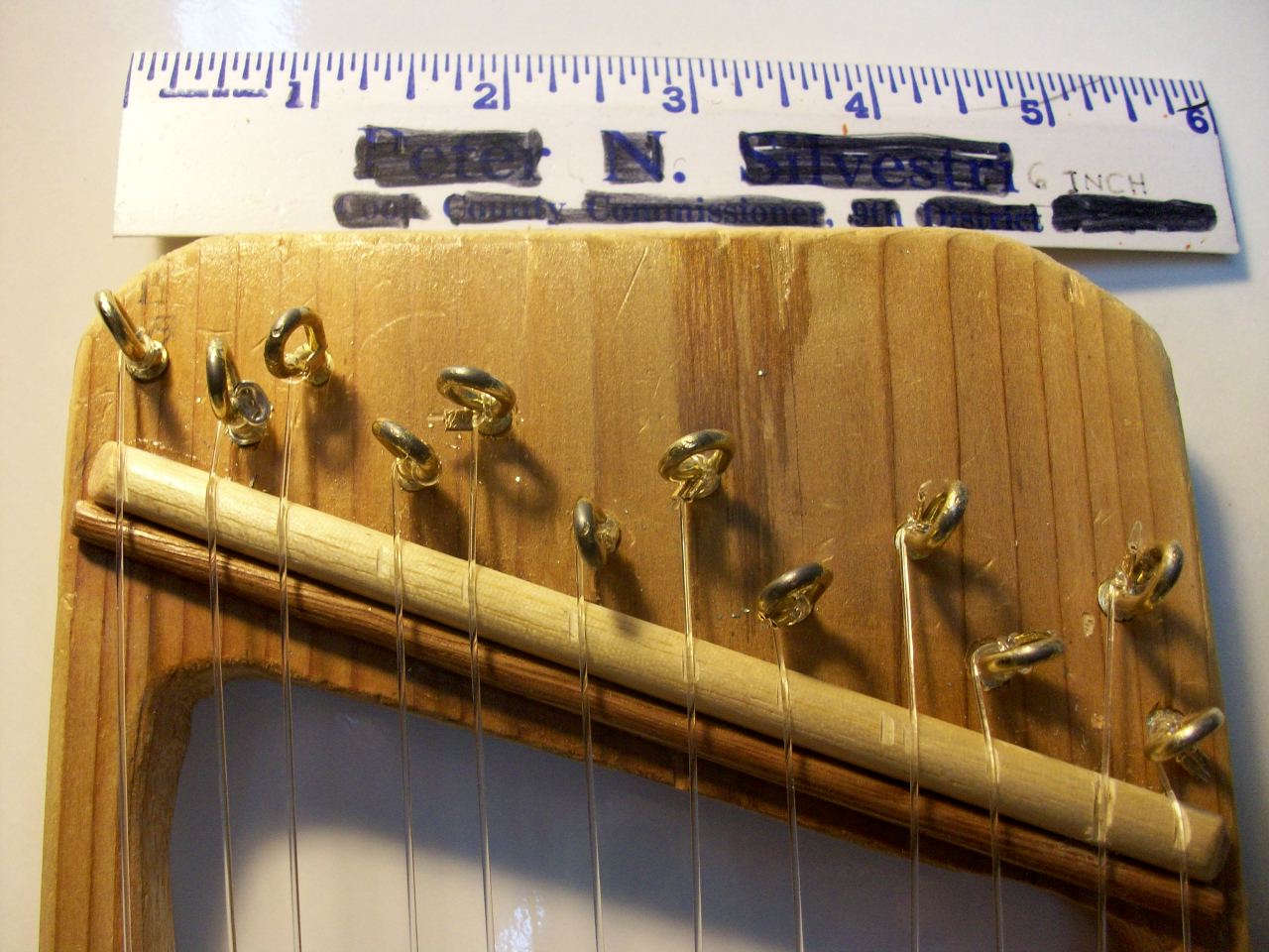 pokit-lyre 11-1-11 005.JPG