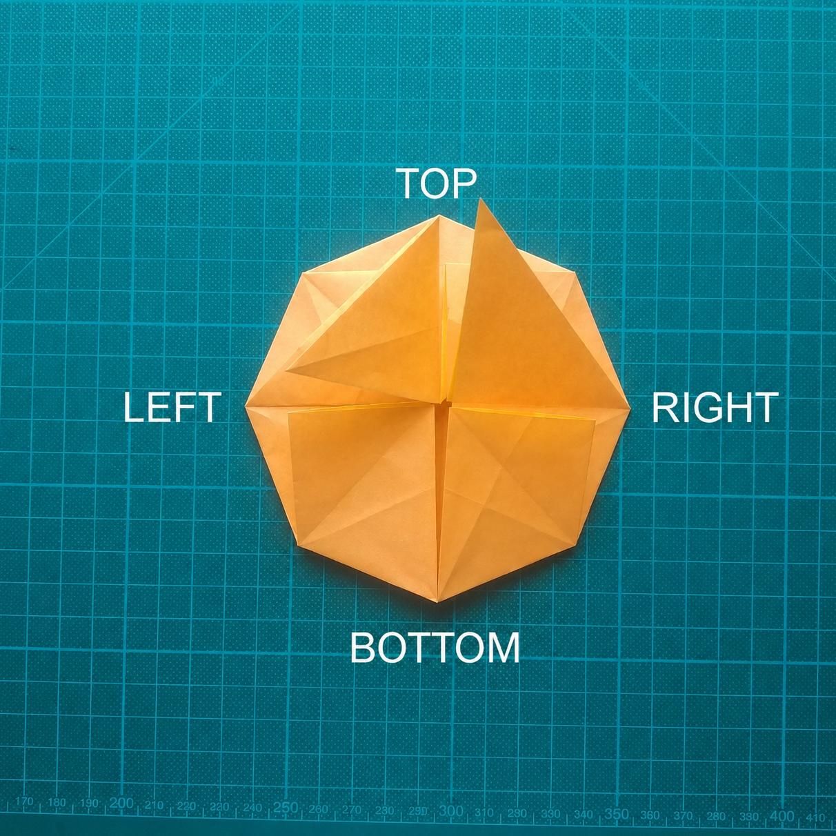 position.jpg
