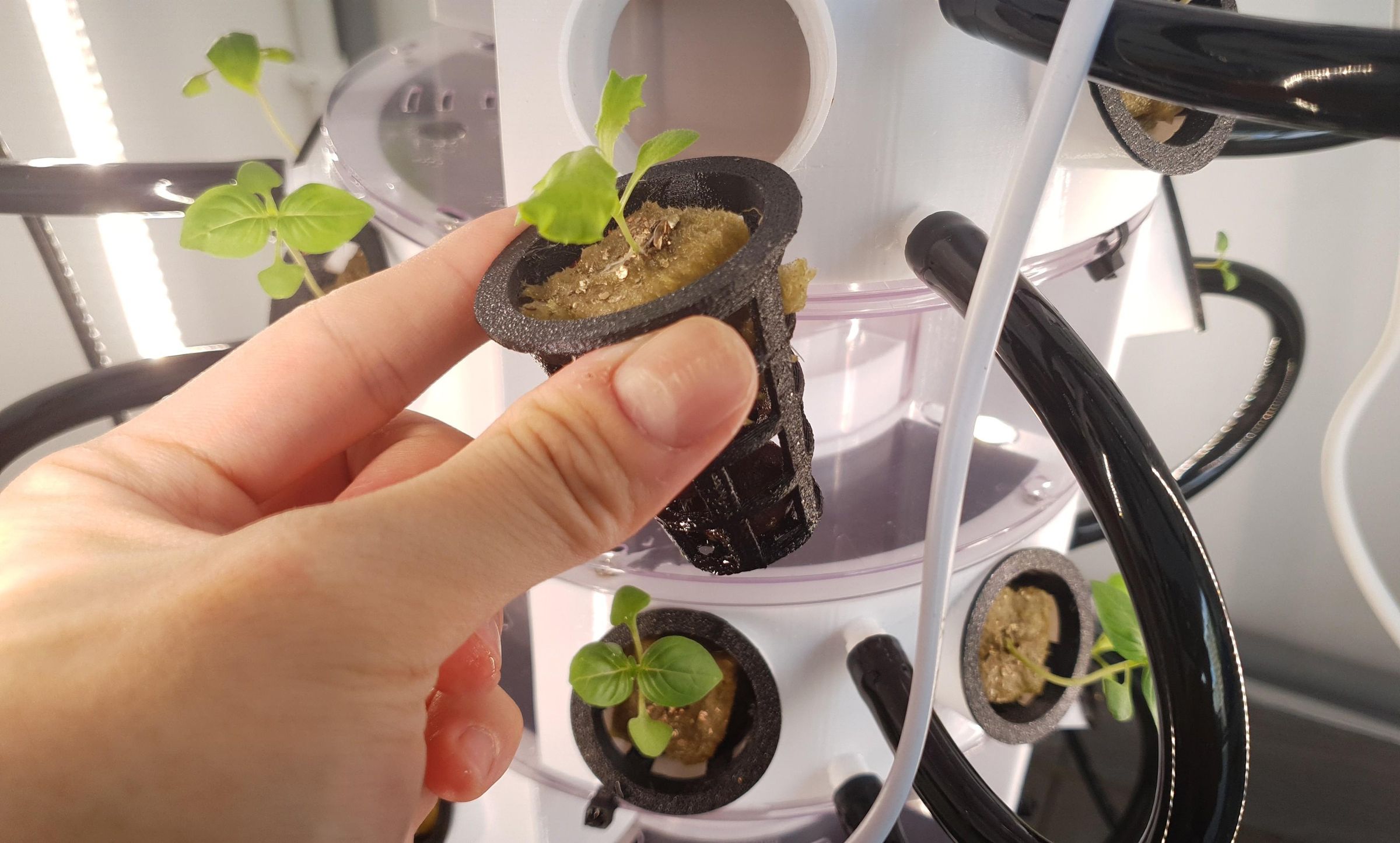 pot 1.jpg