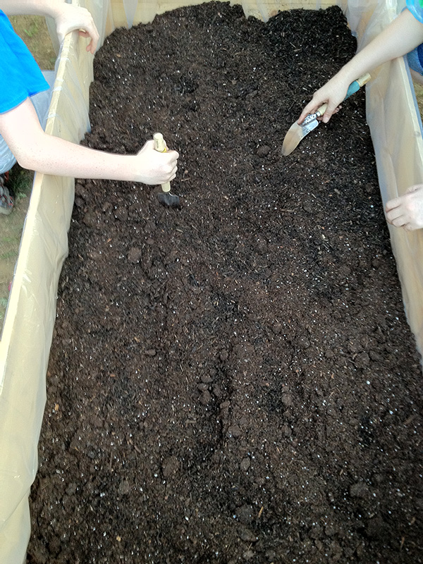 prepping the soil.jpg