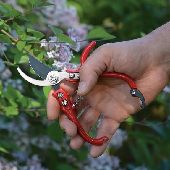 pruner.jpg