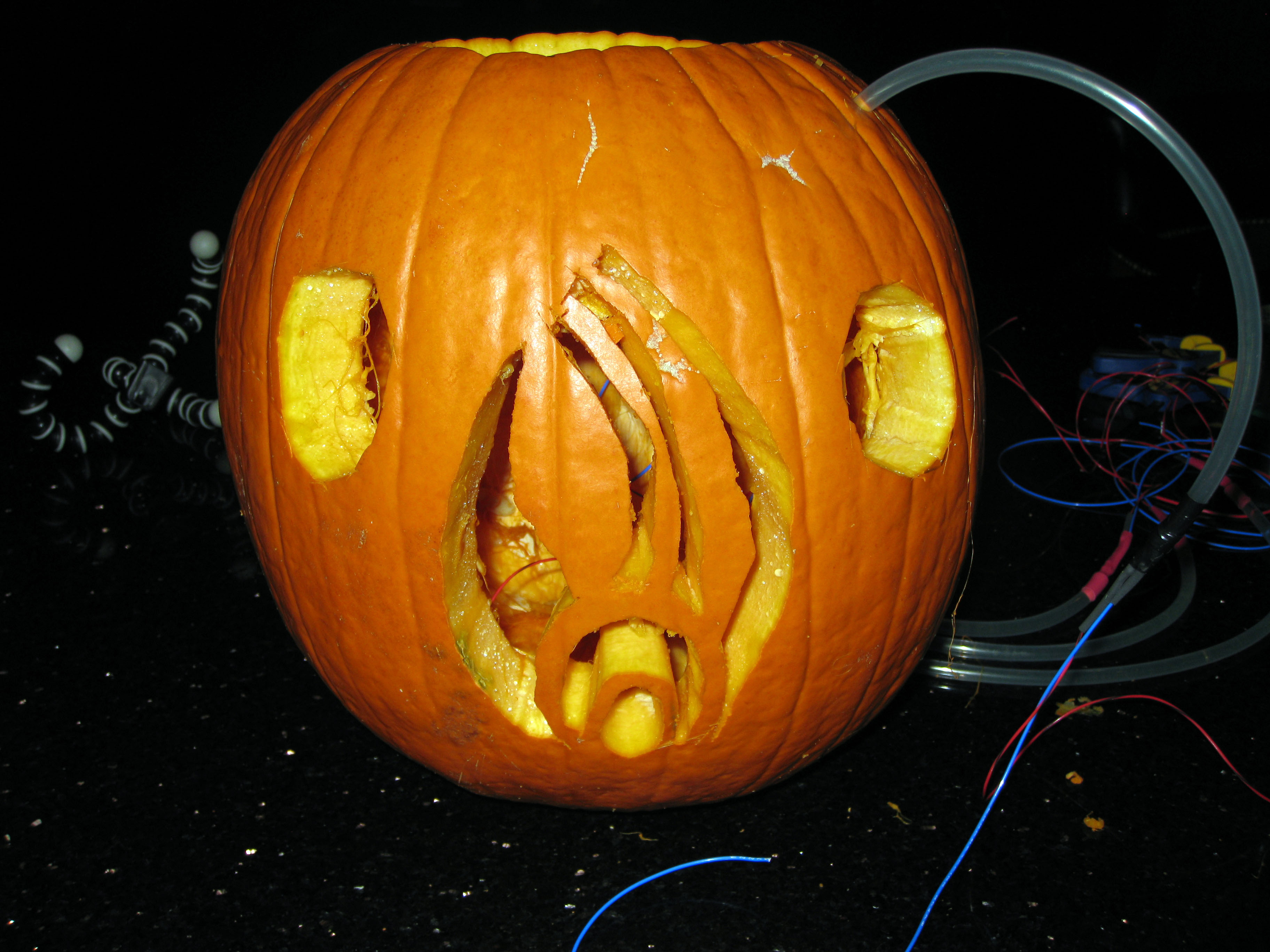 pumpkin2.jpg