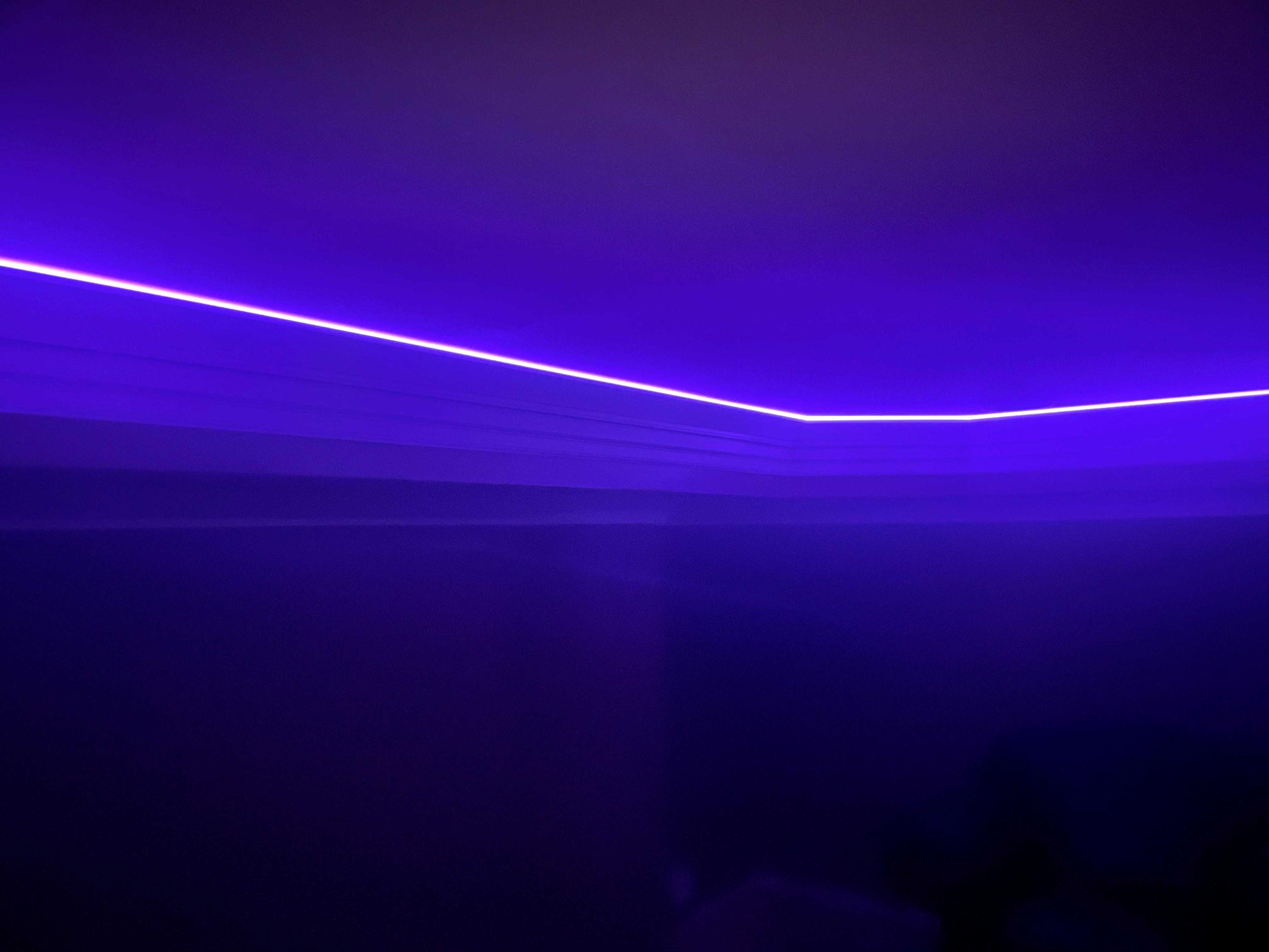 purple.jpg