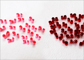 quilled-shell-diy-craft-stylenrich.jpg