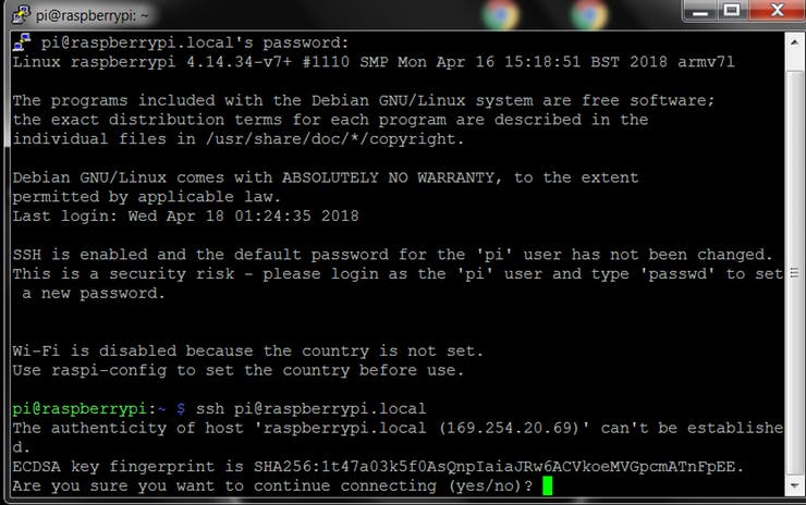 rasp-4_uylH0DKnyW.jpg