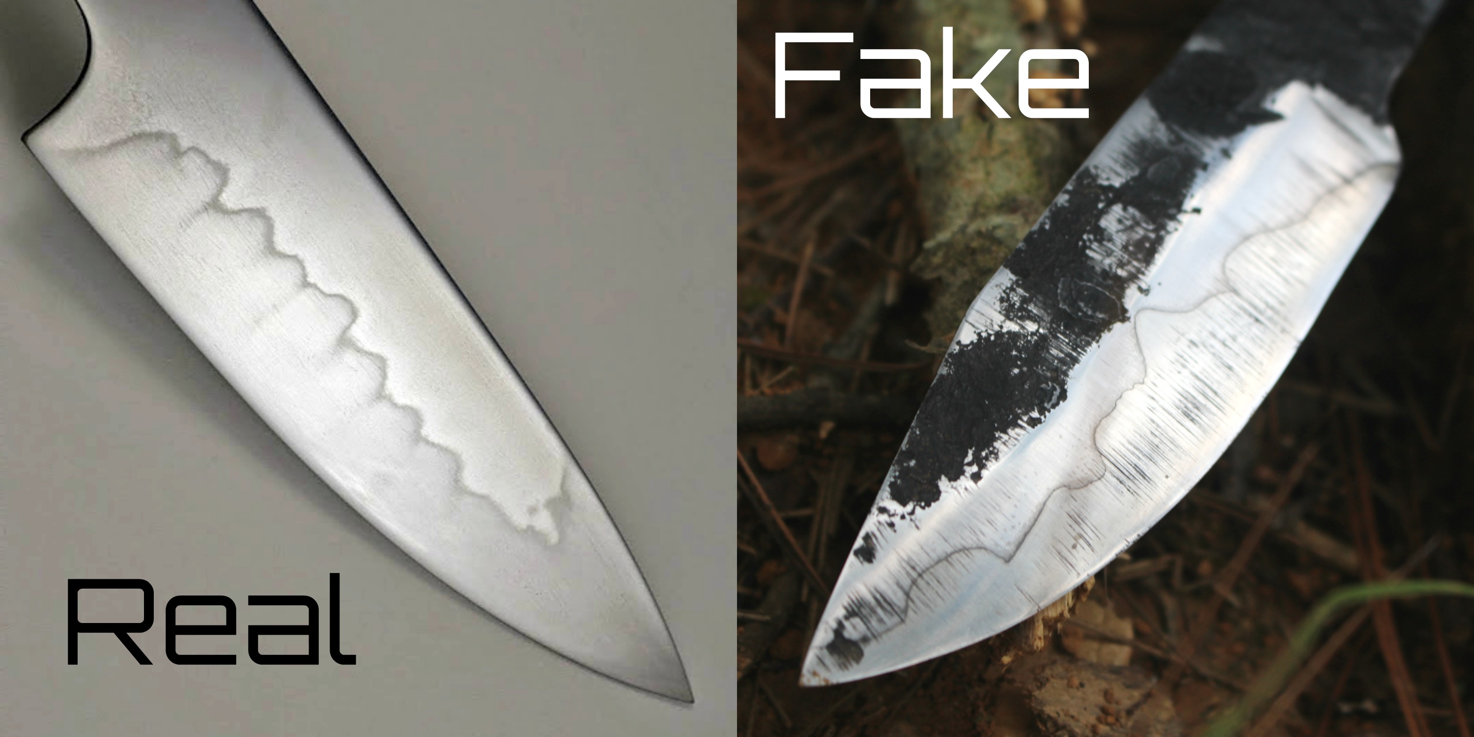 realorfake.jpg