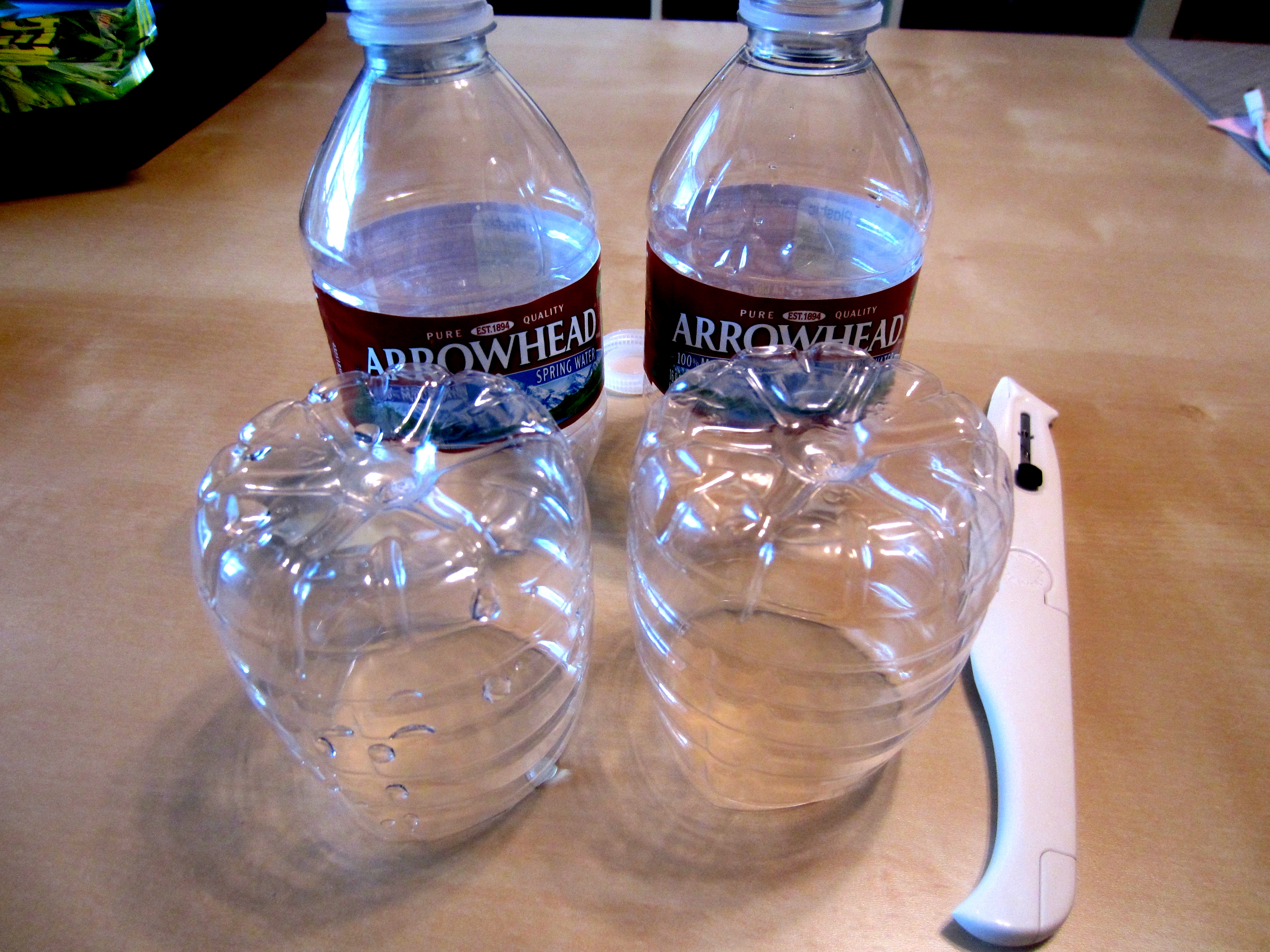 recycled-water-bottle-craft-7.jpg