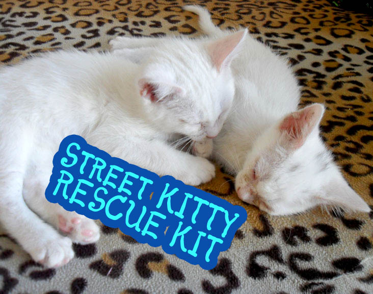 rescuekittycover.jpg