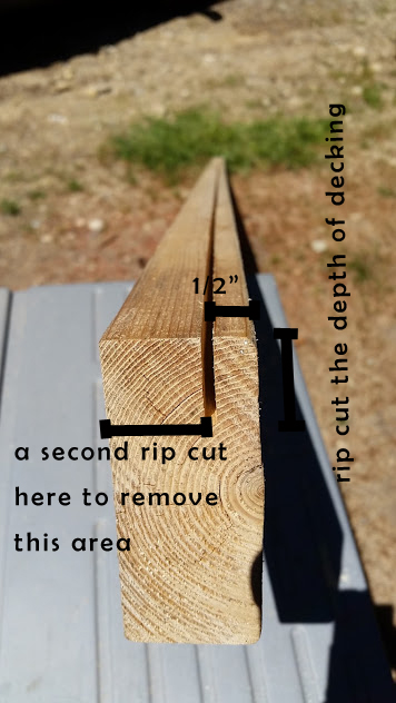 rip cut copy.jpg