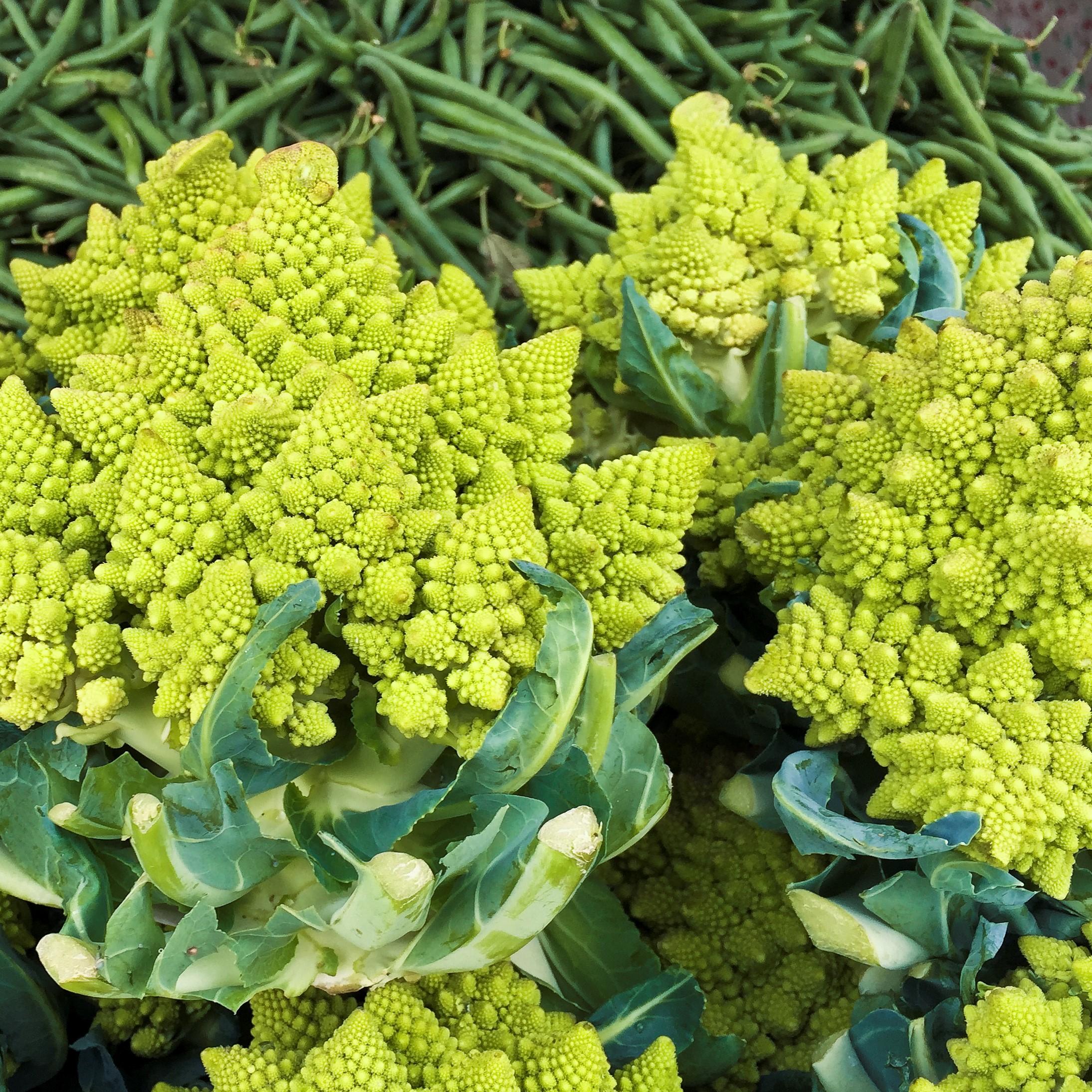 romanesco.jpg