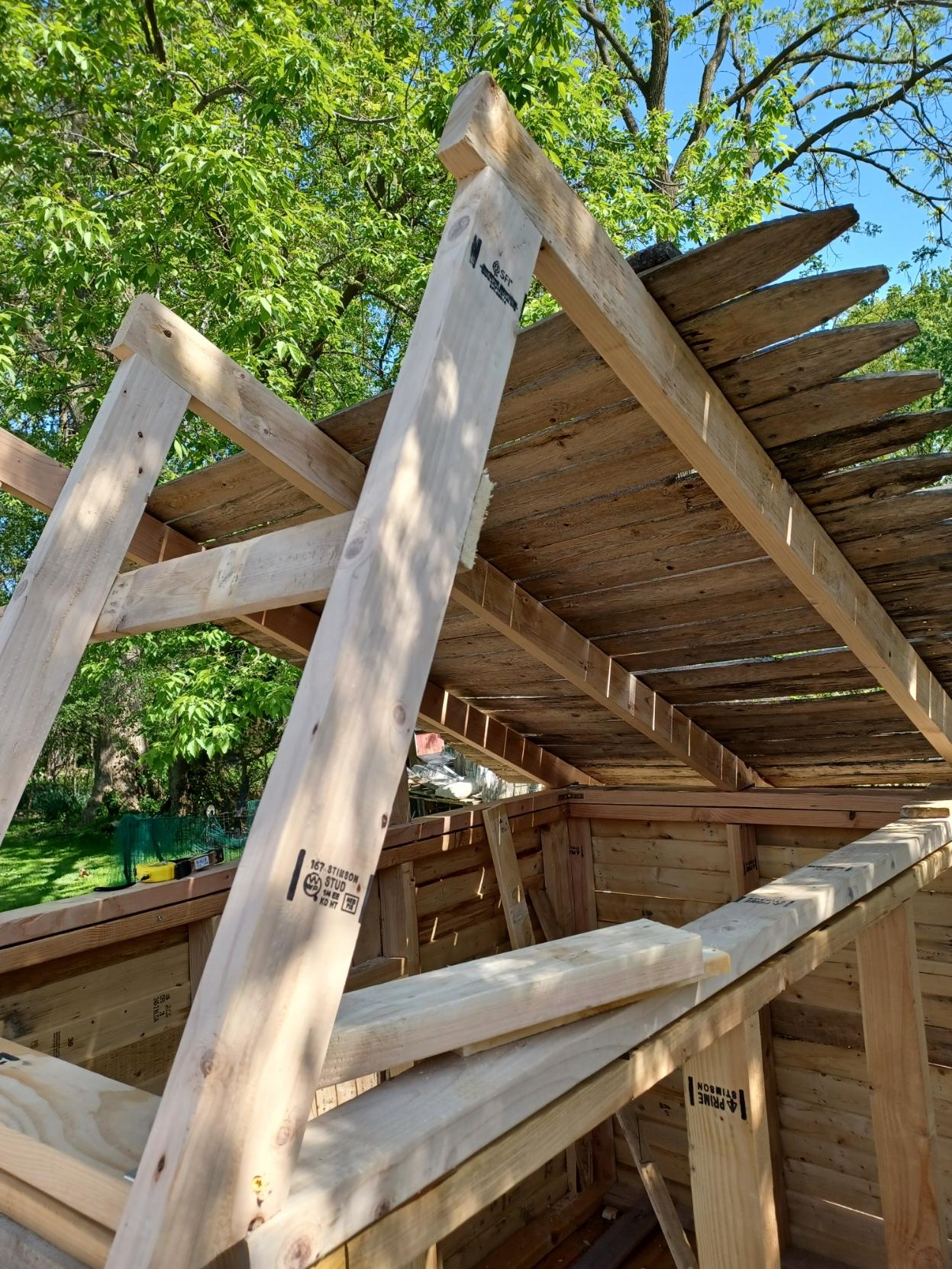 roof framing.jpg