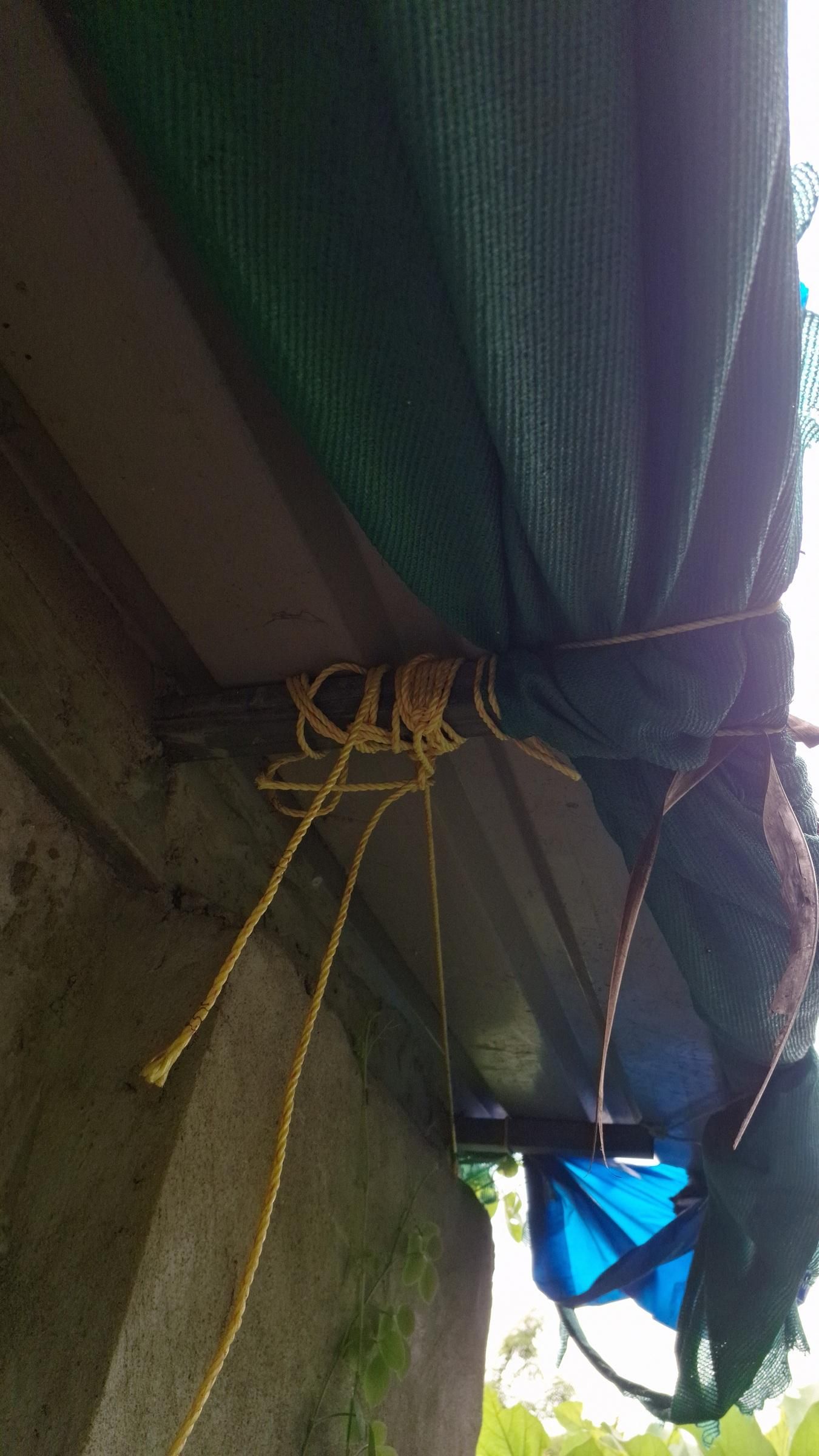 ropes1.jpg