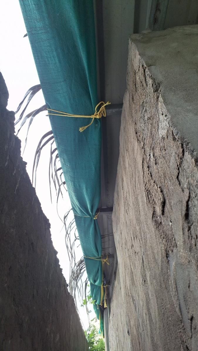 ropes2.jpg