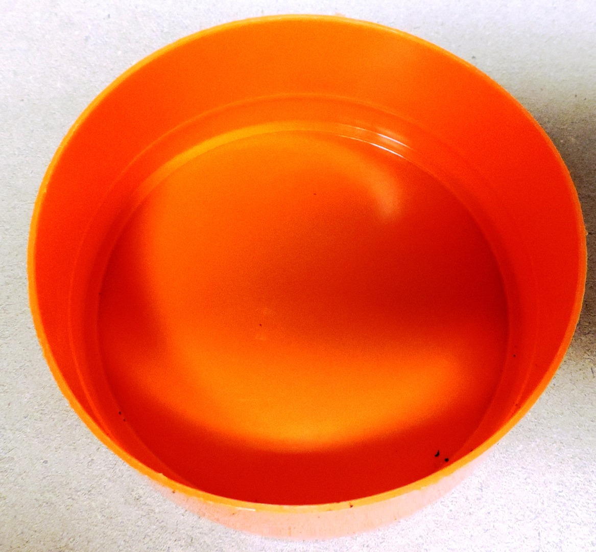 round orange cap alone.JPG