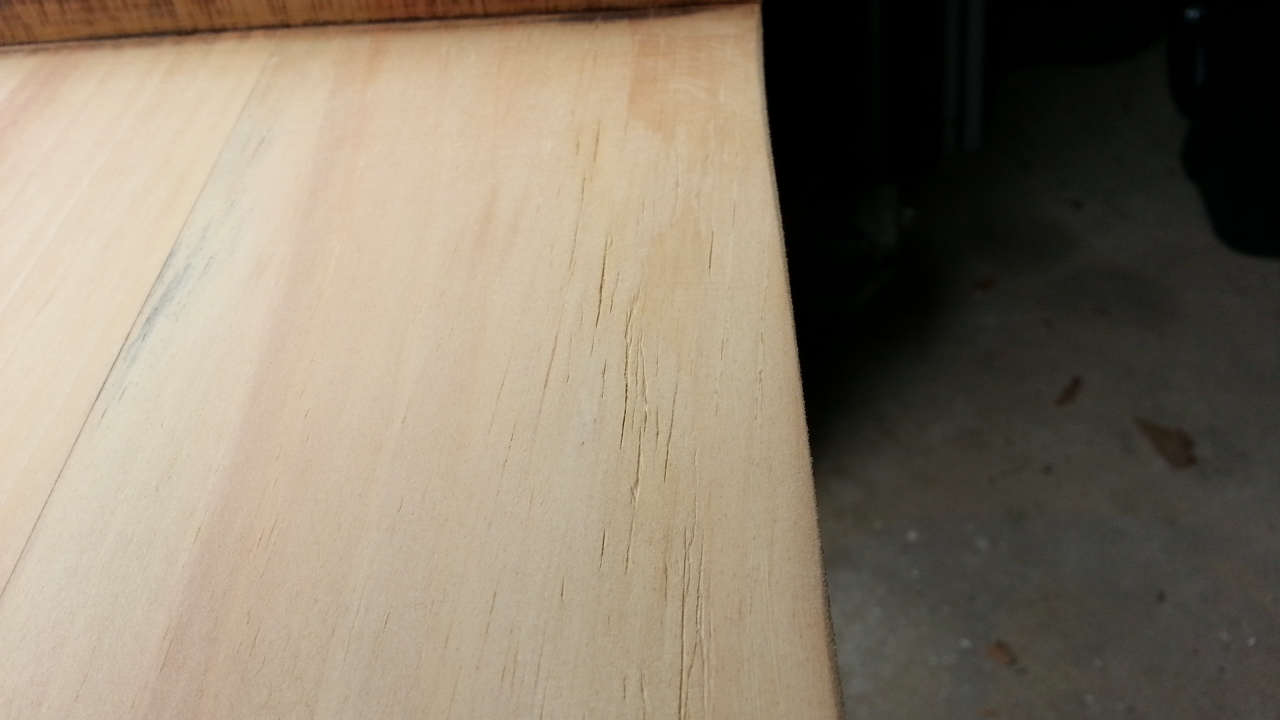 sanded cat scratches.jpg