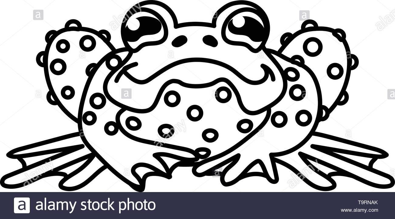 sapo.jpg