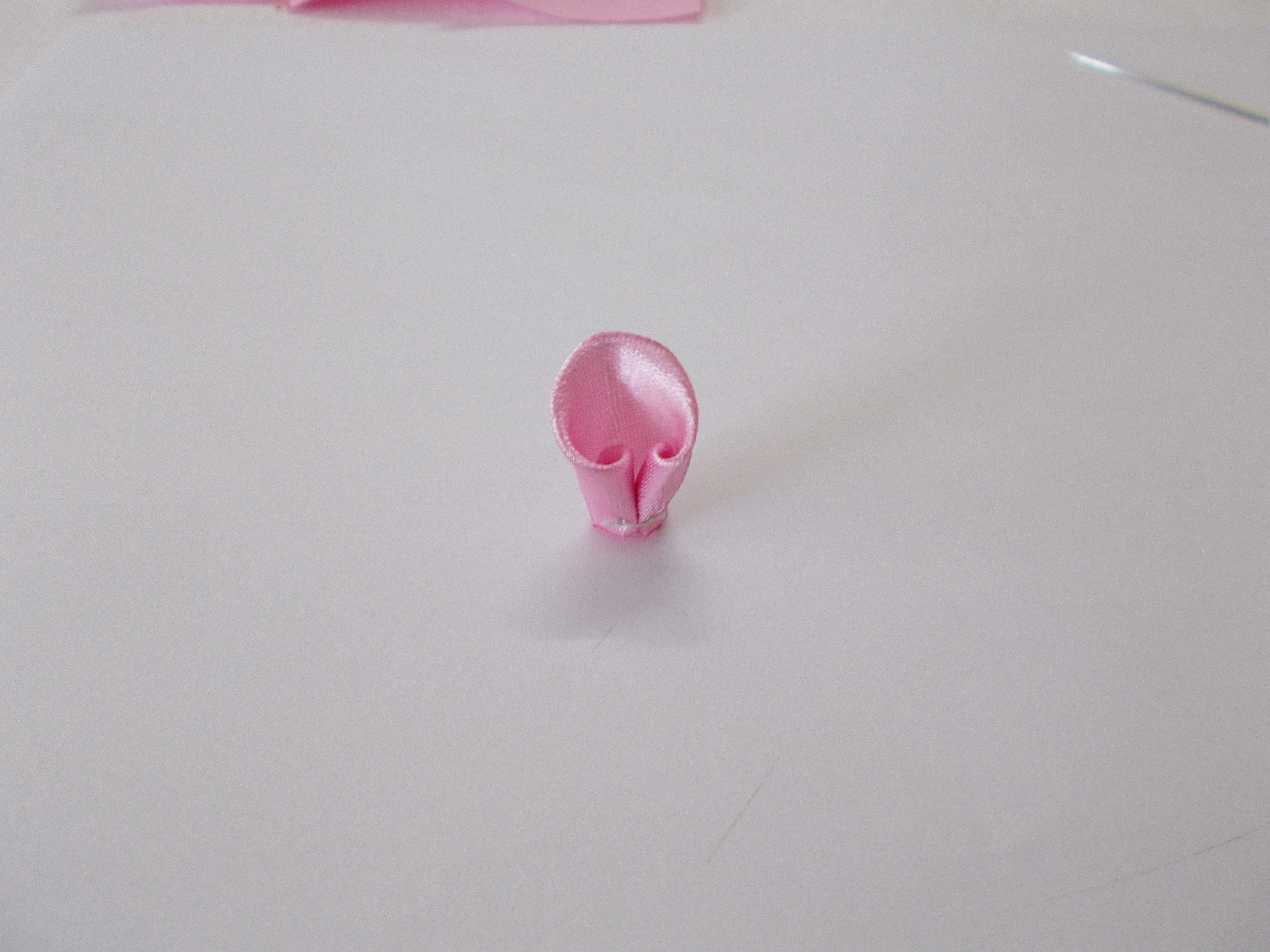satin-flower-petal..JPG