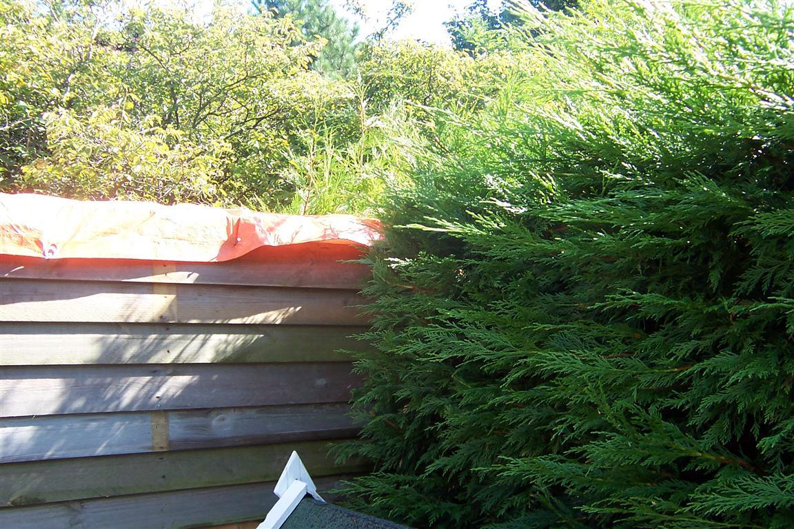 schuur in aanbouw (1) (Medium).JPG