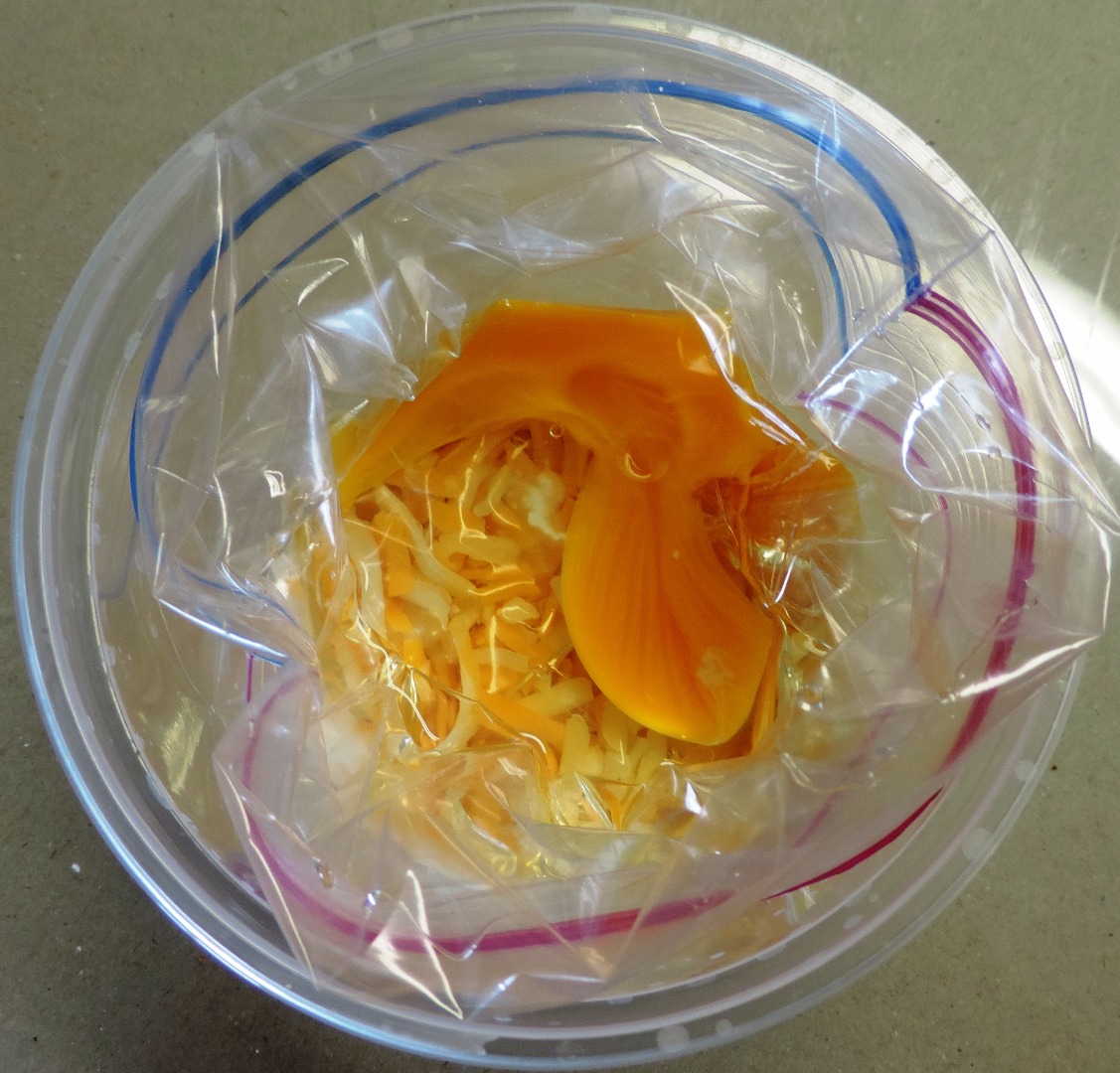 scrambled egg in bag in cheese bowl.jpg