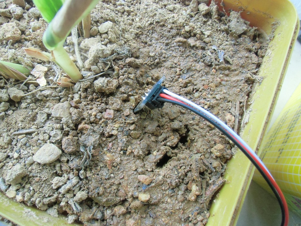 sensor plug.JPG