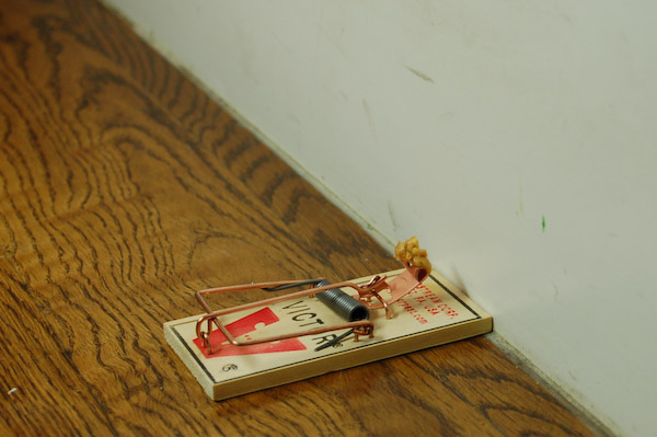 set-wall-victor-mouse-trap6.jpg