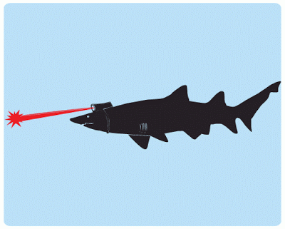 shark.gif