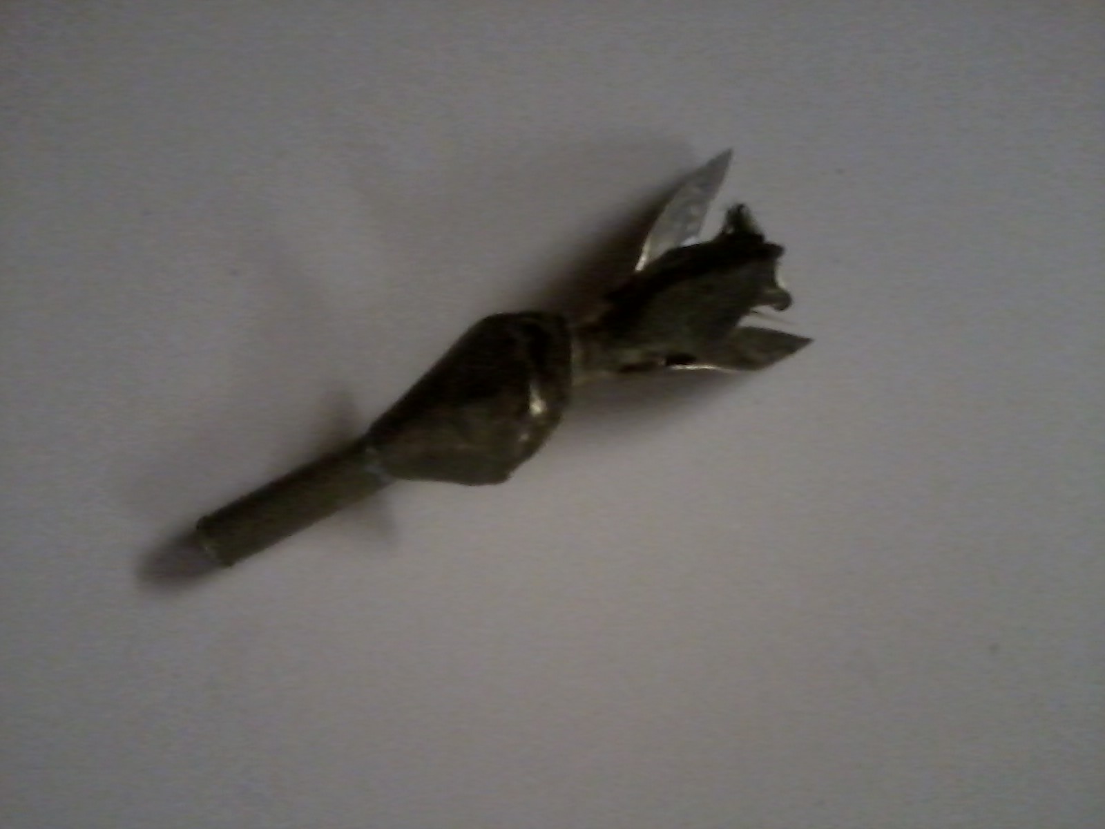 shell rose1.jpg