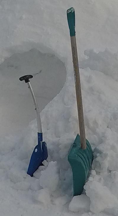 shovel2.JPG