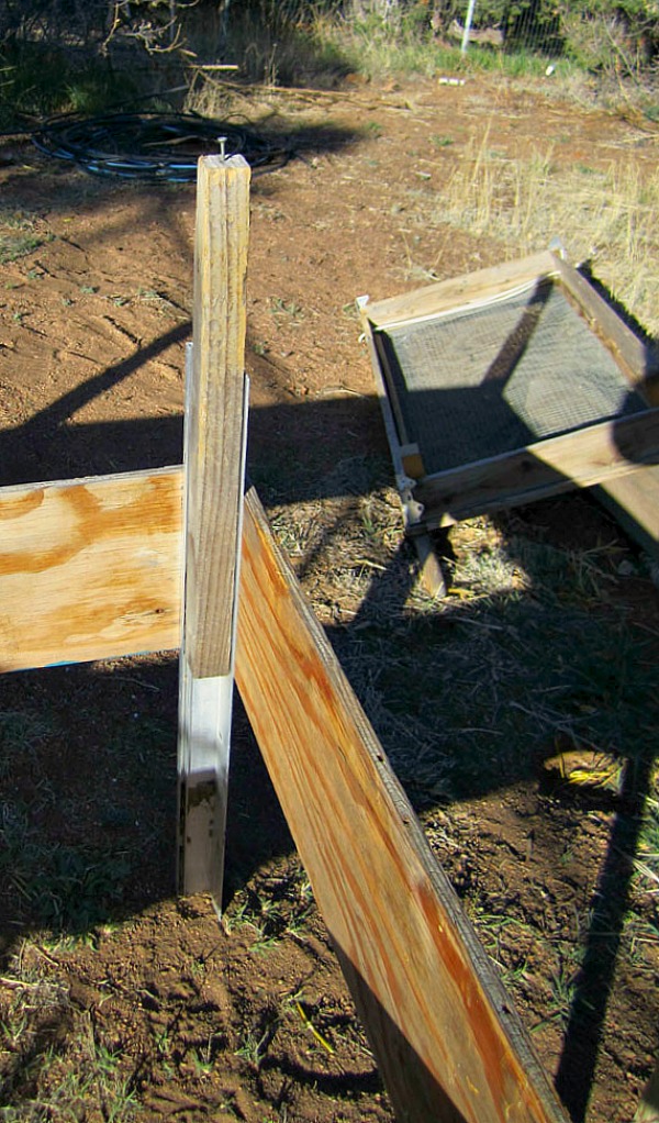 sifter04.jpg