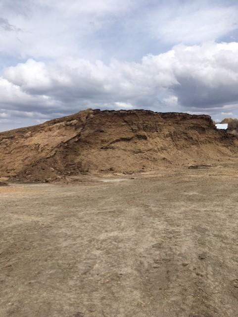 silage.jpg