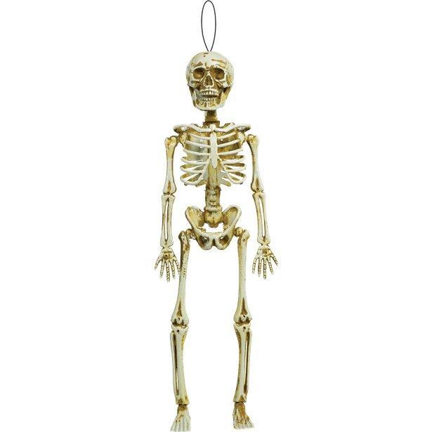 skeleton.jpg