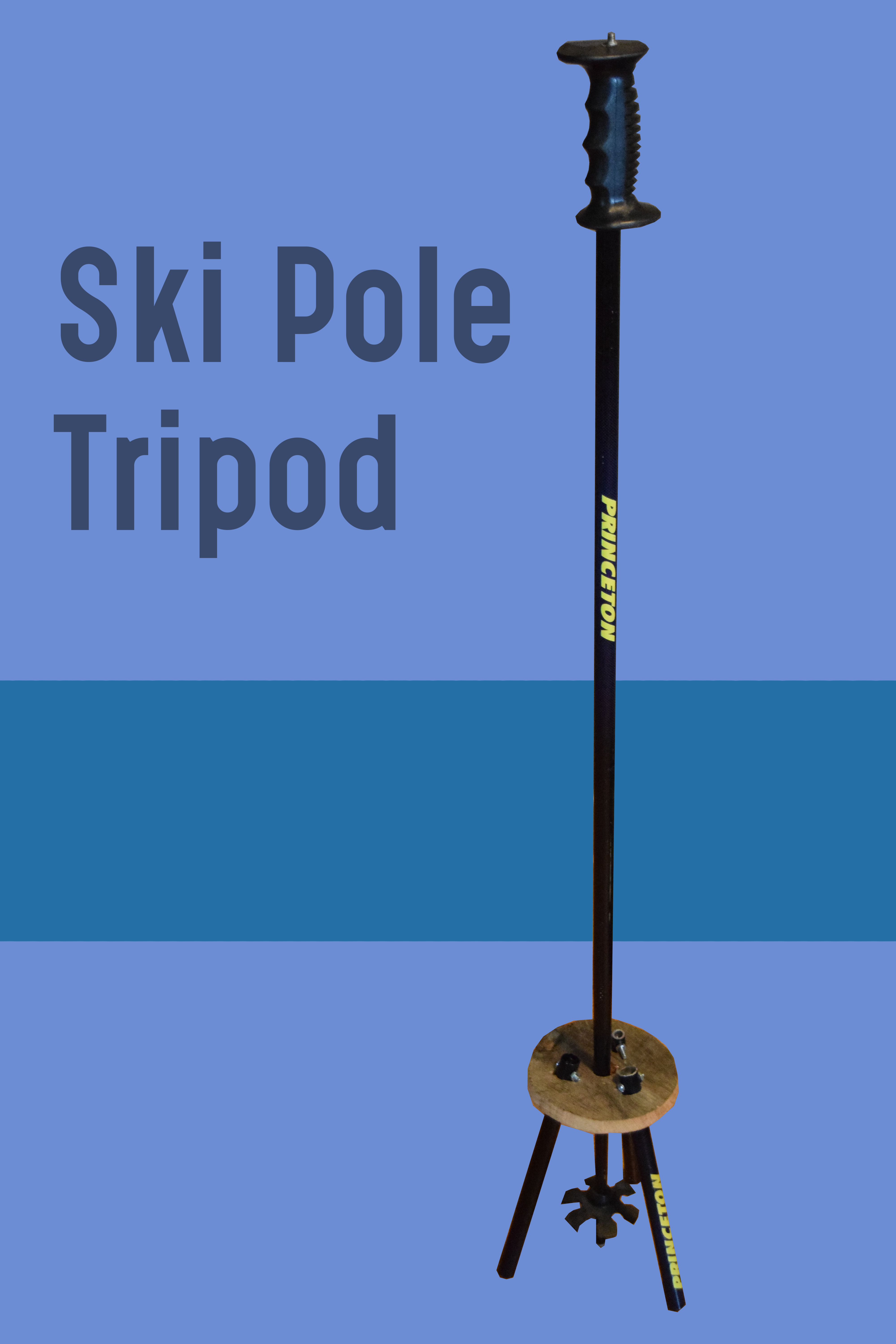 ski pole.png