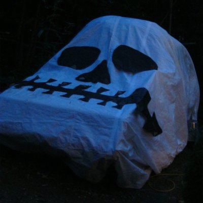 skullcarcostume2.jpg