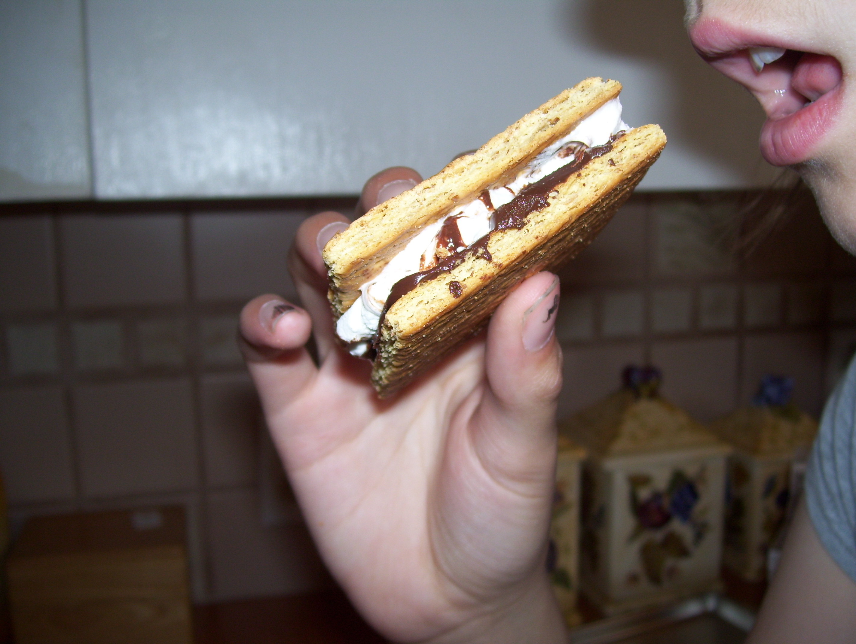 smores 019.jpg